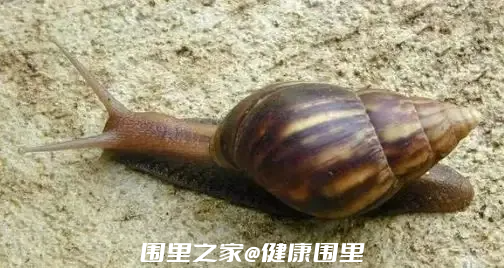 mmexport1693029853925.png