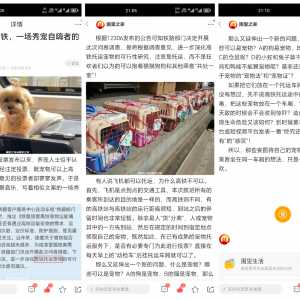 再评宠物上高铁，一场秀宠自嗨者的狂欢！